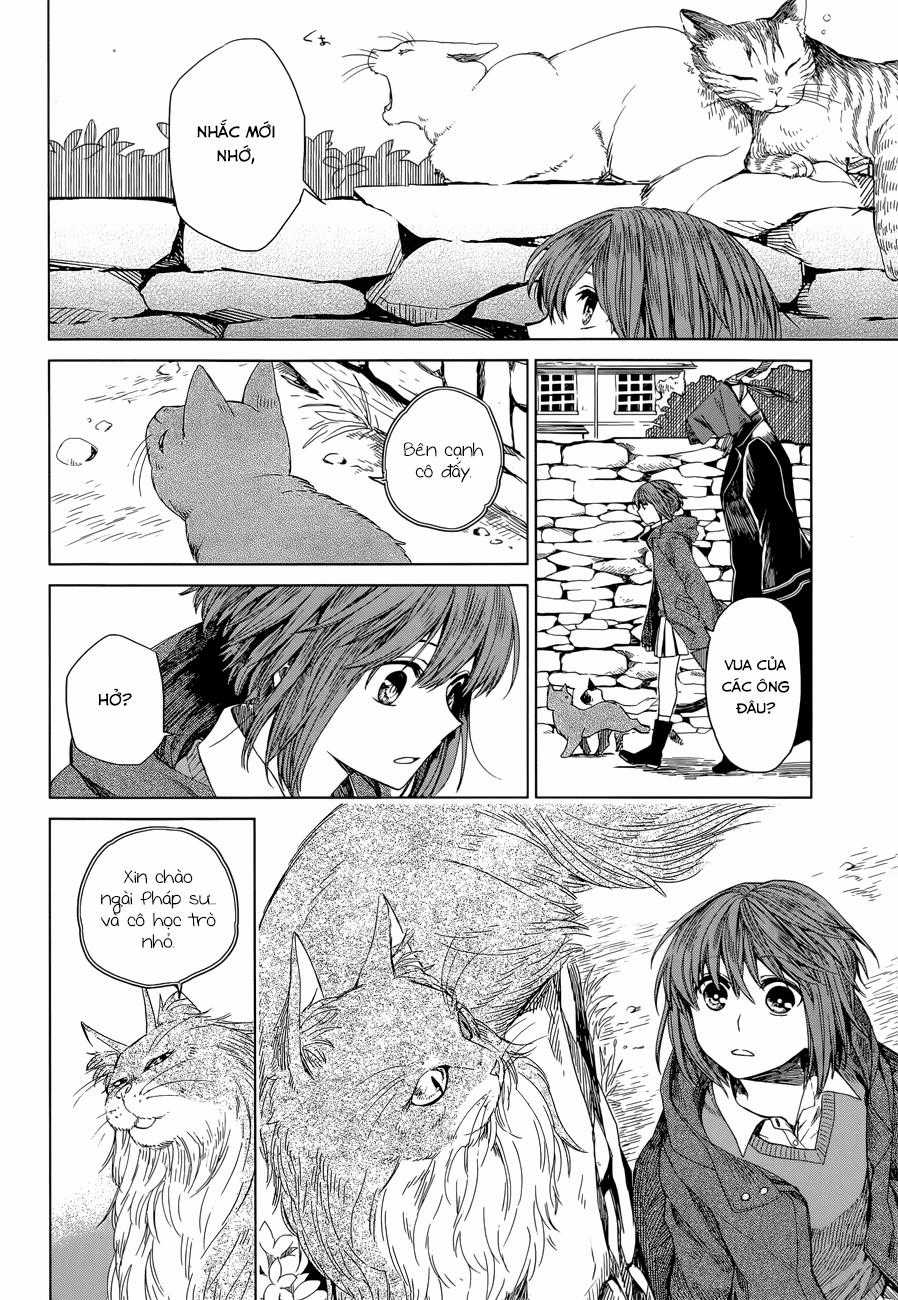 Cô Dâu Pháp Sư Chương 4 trang 13