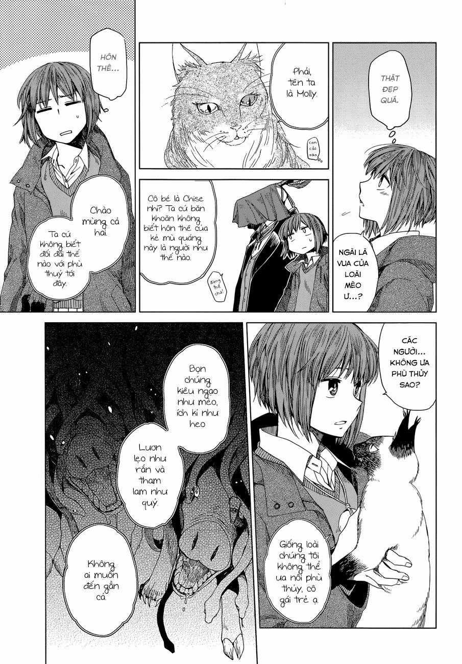 Cô Dâu Pháp Sư Chương 4 trang 14