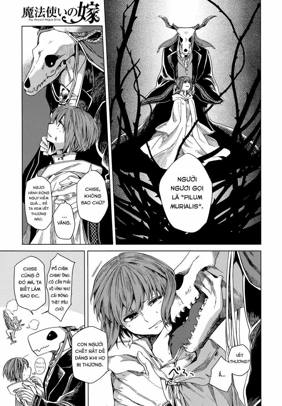 Cô Dâu Pháp Sư Chương 6 trang 13