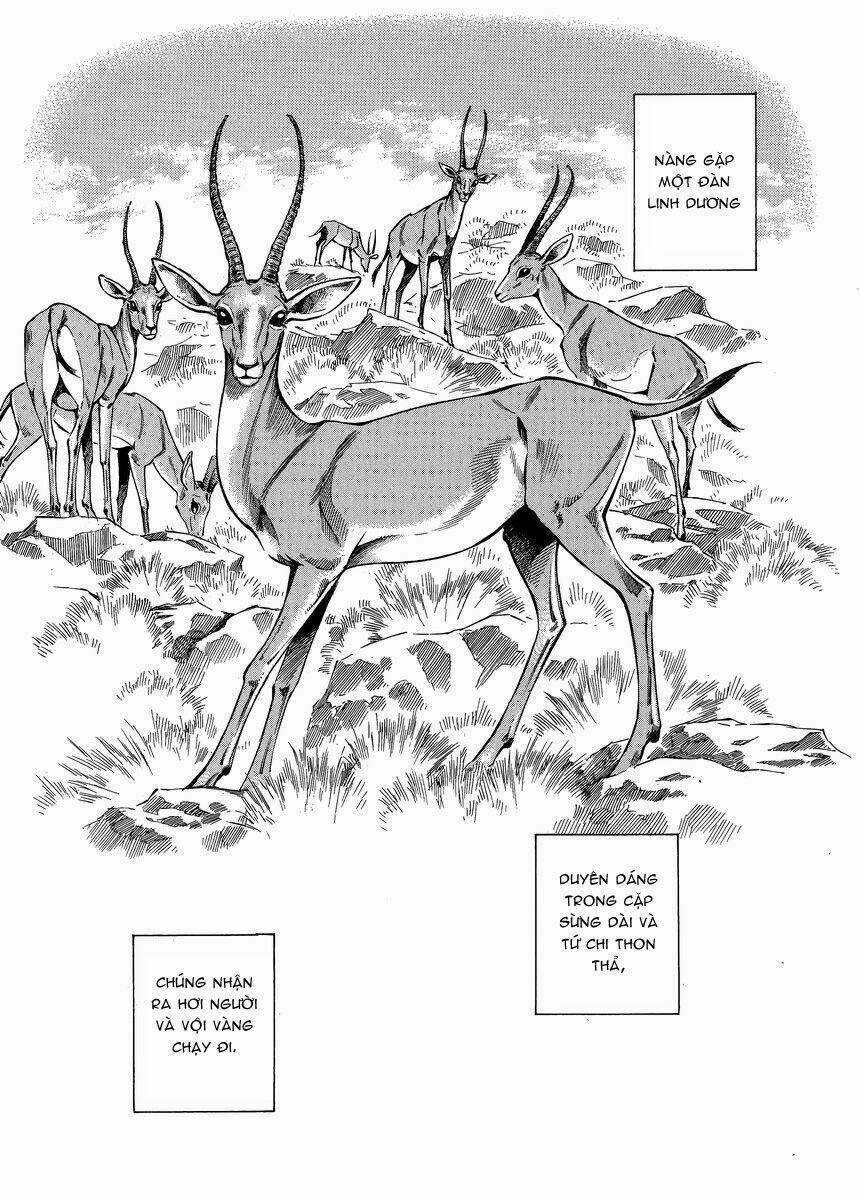 Cô Dâu Thảo Nguyên Chapter 23 trang 15