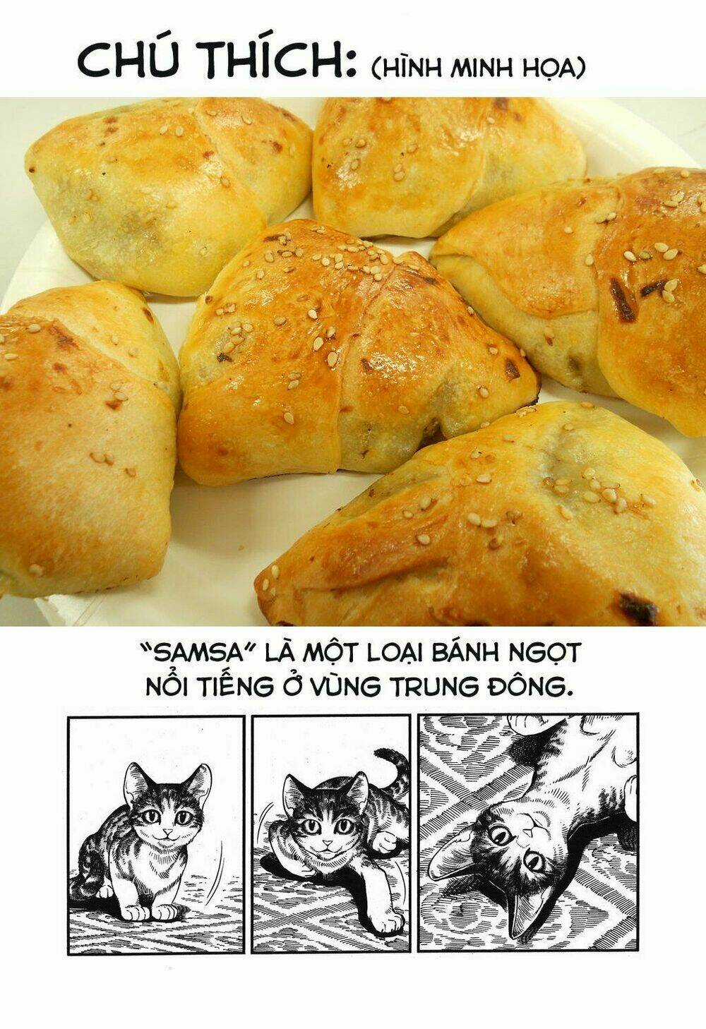 Cô Dâu Thảo Nguyên Chapter 78 trang 8