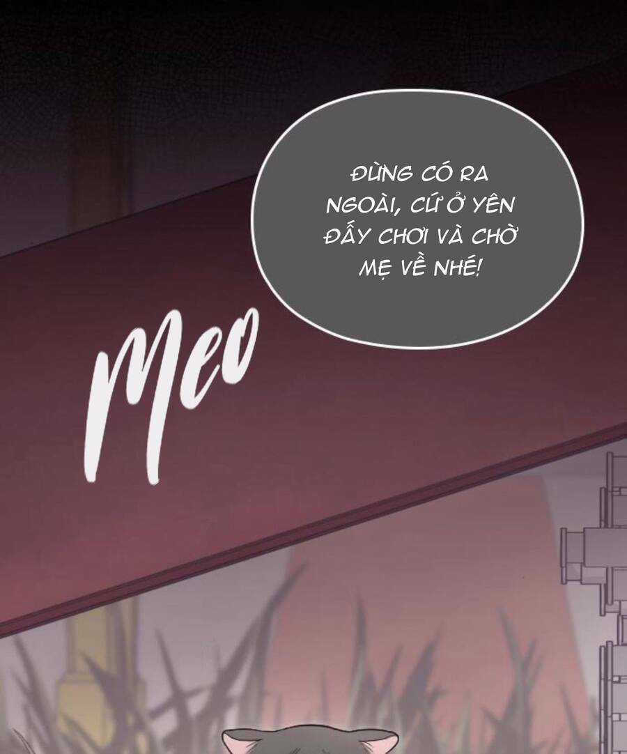 Cô Đi Mà Lấy Chồng Tôi Đi Chapter 67 trang 12