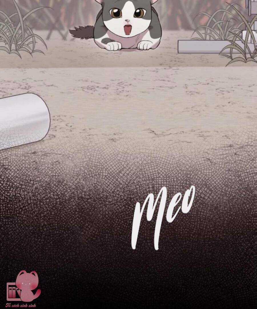 Cô Đi Mà Lấy Chồng Tôi Đi Chapter 67 trang 13