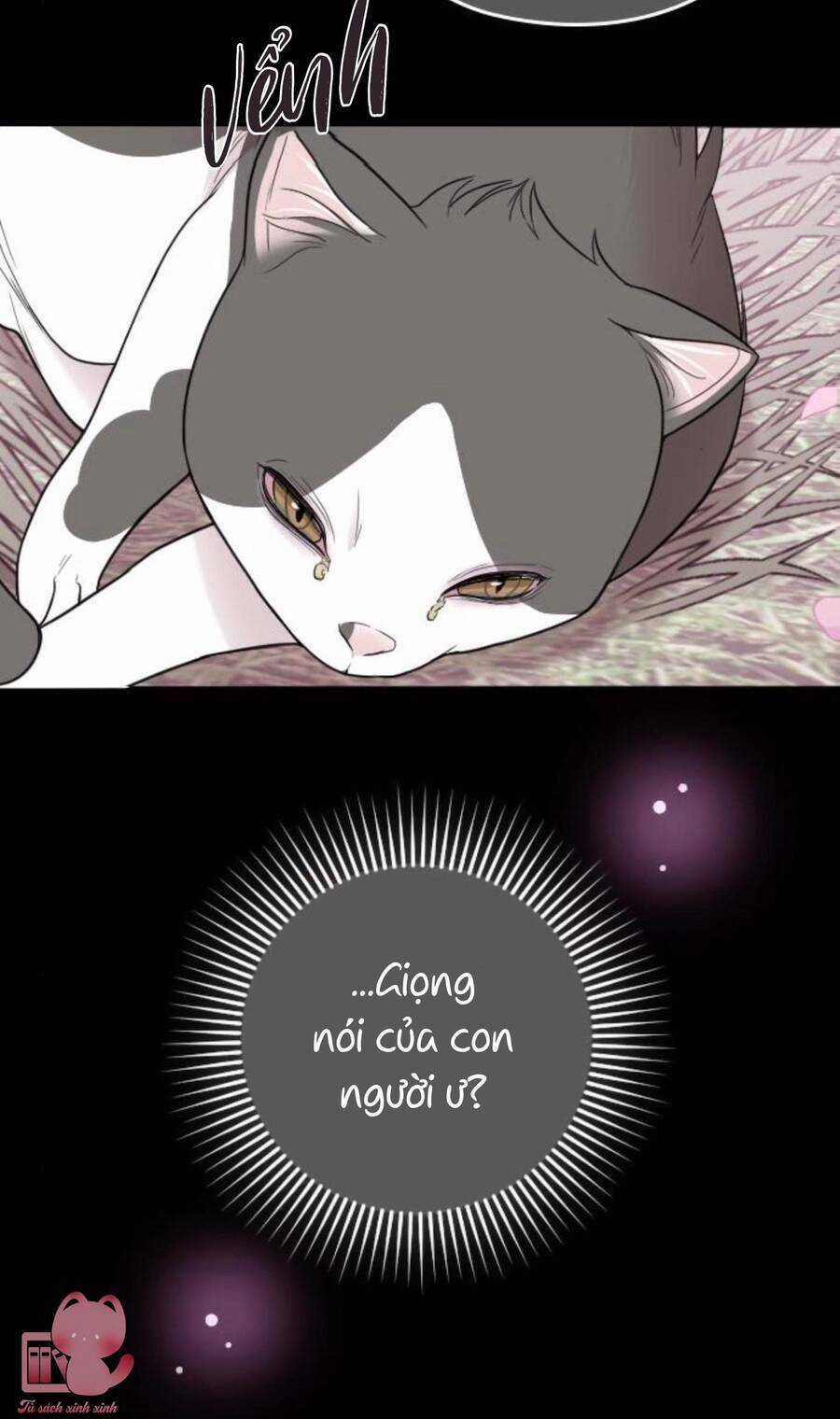 Cô Đi Mà Lấy Chồng Tôi Đi Chapter 67 trang 24