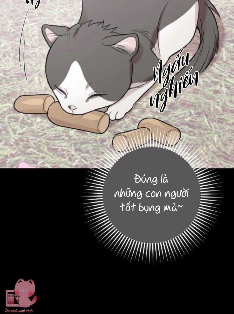 Cô Đi Mà Lấy Chồng Tôi Đi Chapter 67 trang 28