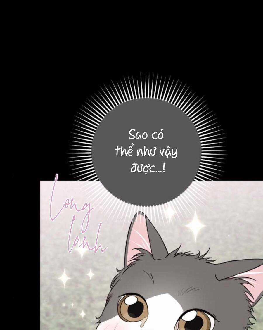 Cô Đi Mà Lấy Chồng Tôi Đi Chapter 67 trang 31