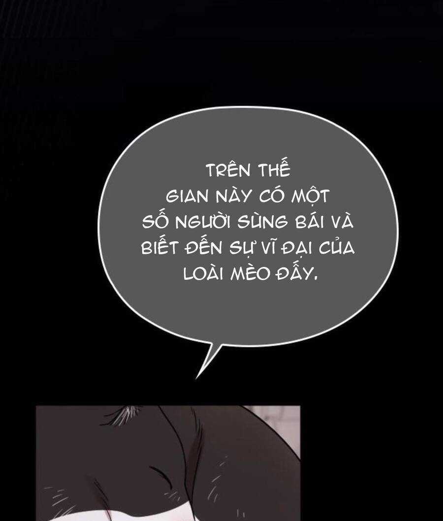 Cô Đi Mà Lấy Chồng Tôi Đi Chapter 67 trang 35