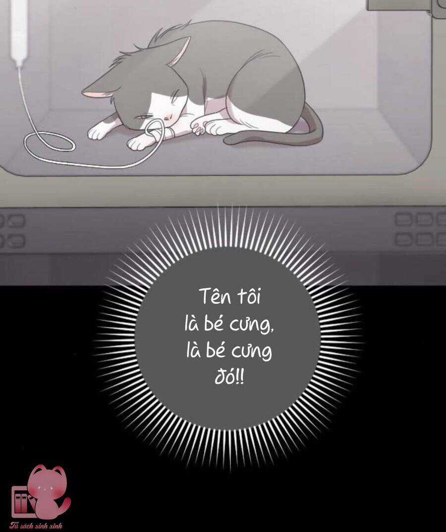 Cô Đi Mà Lấy Chồng Tôi Đi Chapter 67 trang 57