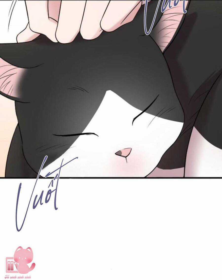 Cô Đi Mà Lấy Chồng Tôi Đi Chapter 67 trang 7