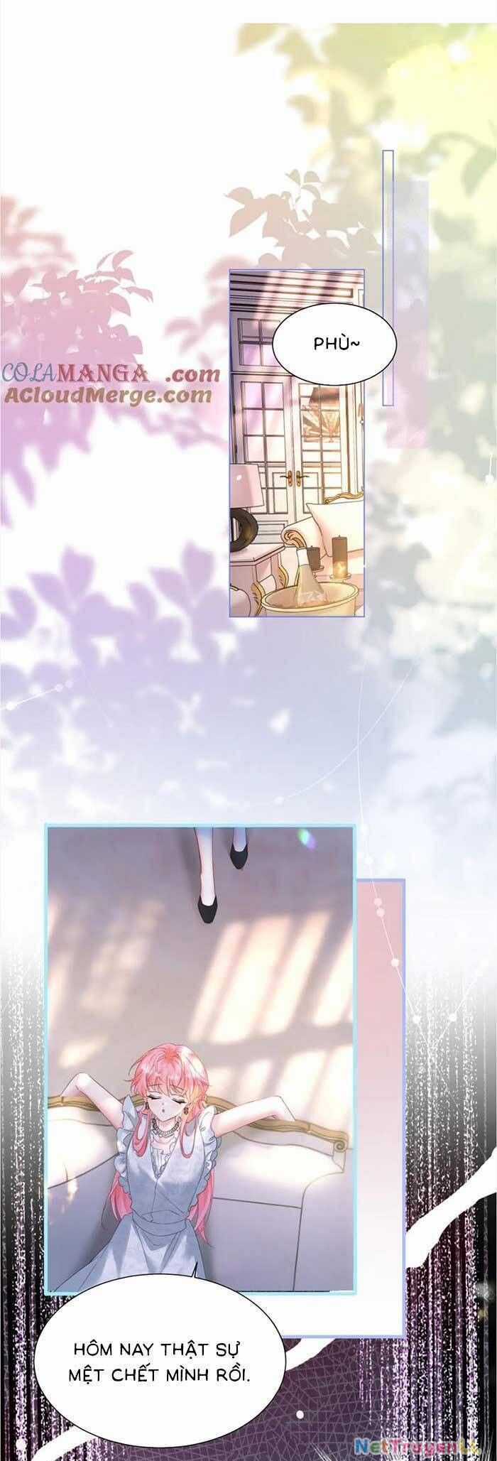 Cô Em Gái Cưng Bất Đắc Dĩ Của Đại Lão Chapter 15 trang 17