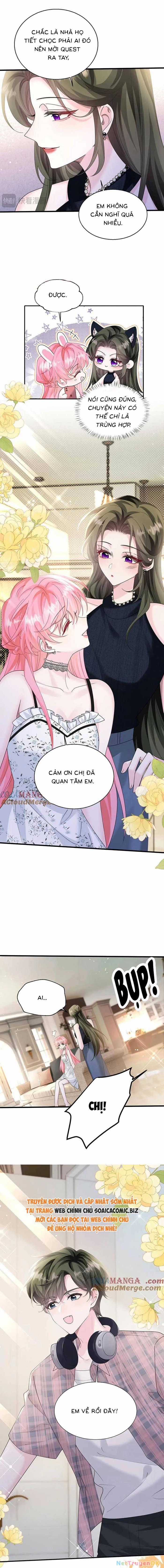 Cô Em Gái Cưng Bất Đắc Dĩ Của Đại Lão Chapter 35 trang 6