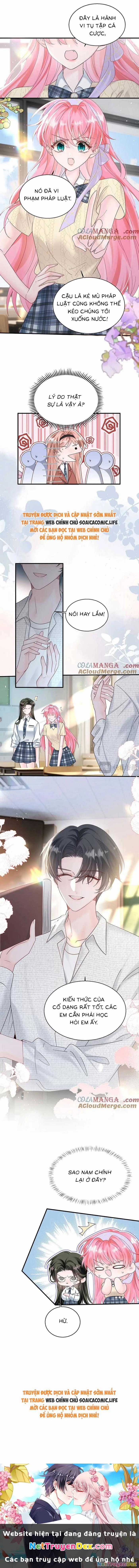 Cô Em Gái Cưng Bất Đắc Dĩ Của Đại Lão Chapter 38 trang 6