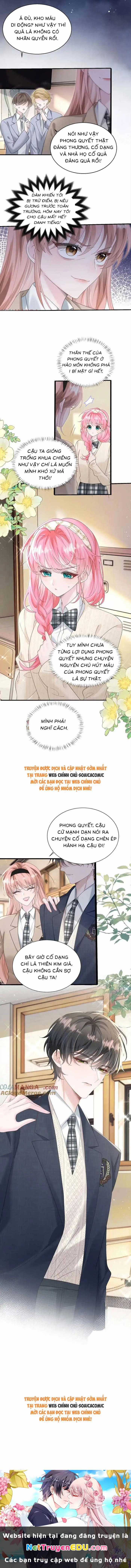 Cô Em Gái Cưng Bất Đắc Dĩ Của Đại Lão Chapter 46 trang 7