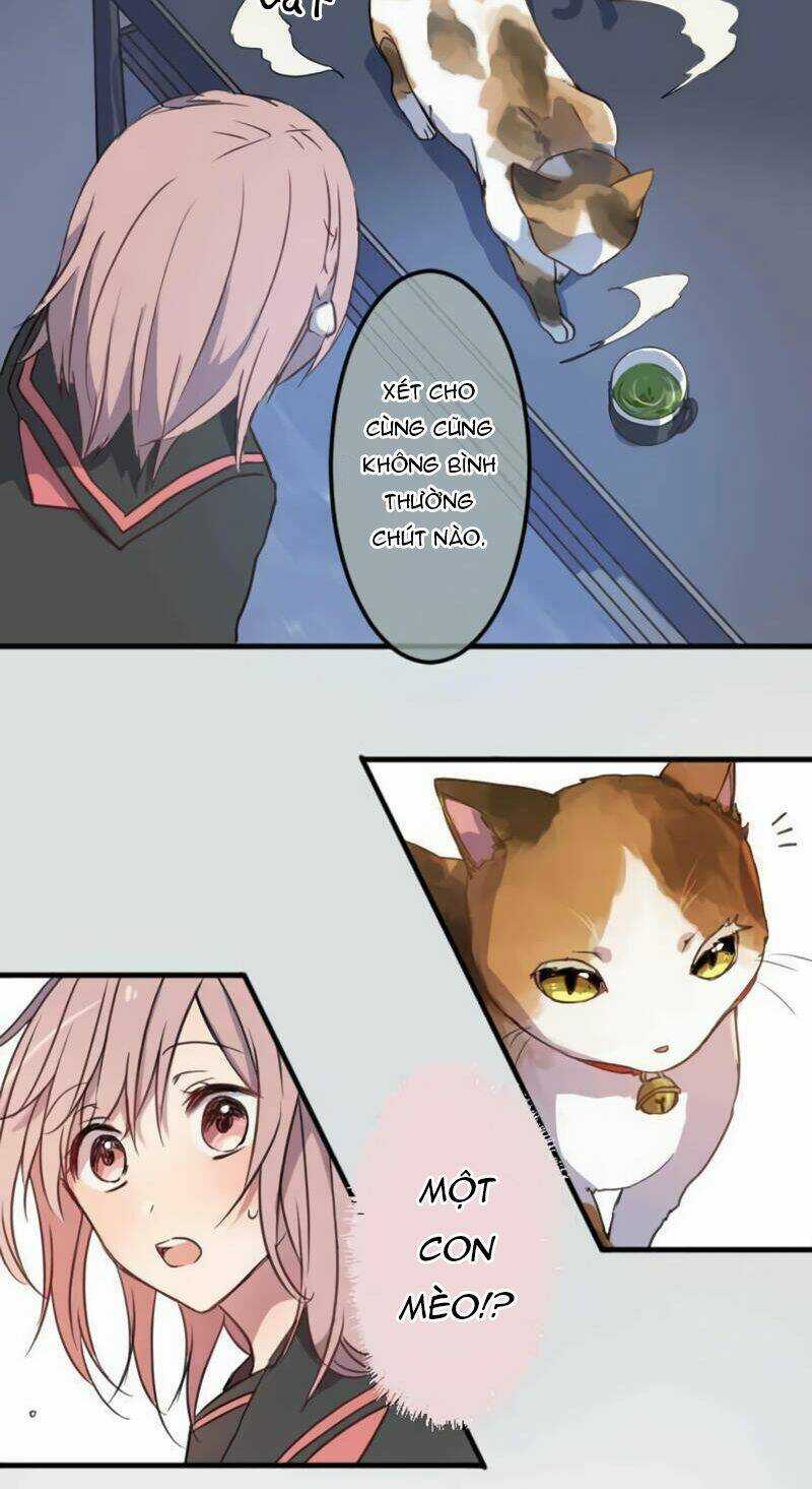 Cô Gái Bất Tử Và Khế Ước Với Ác Ma Chapter 7 trang 28