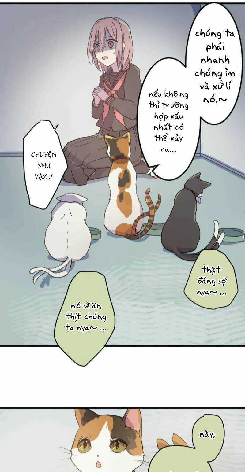 Cô Gái Bất Tử Và Khế Ước Với Ác Ma Chapter 7 trang 39