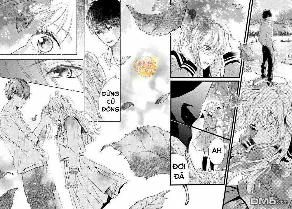 Cô Gái Nhút Nhát Và Kẻ Đáng Sợ Chapter 2 trang 41