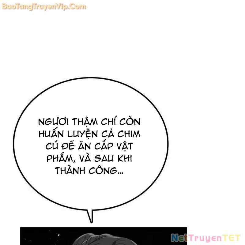 Có Lẽ Là Vô Địch Chapter 15 trang 72