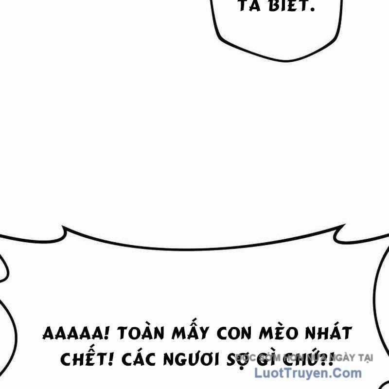 Có Lẽ Là Vô Địch Chương 46 trang 145