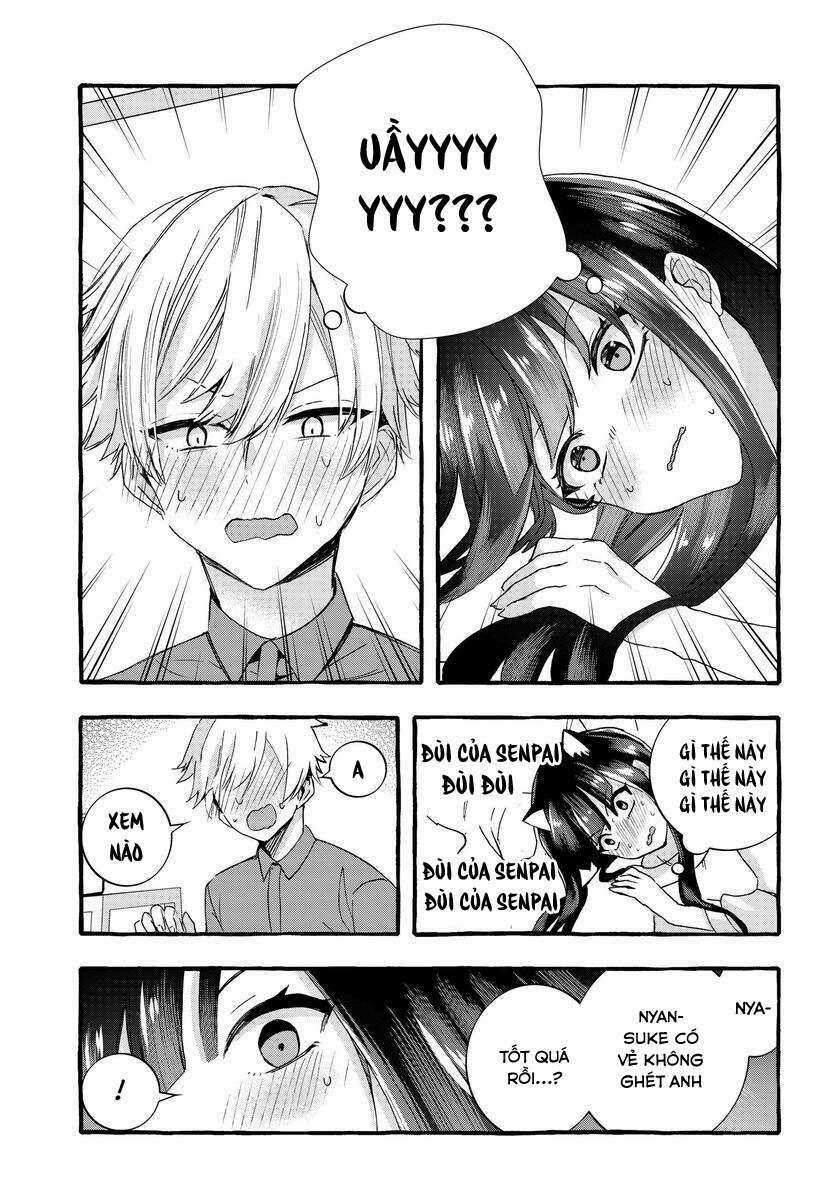 cô nàng lạnh lùng trên trường lại là mèo cưng của tôi Chapter 3 trang 10