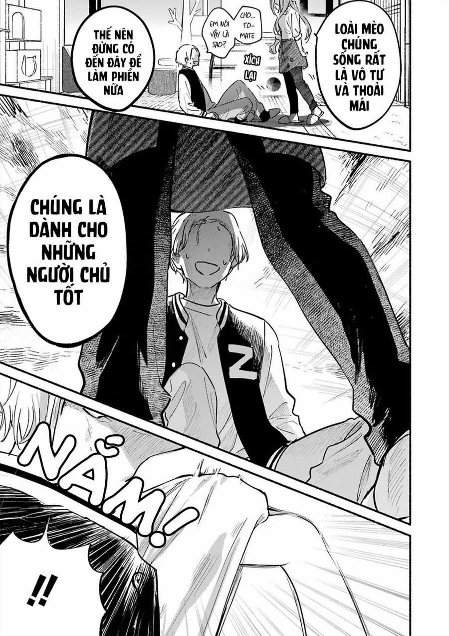 Cô Nàng Mèo Ngủ Gật Và Chàng Trai Hướng Nội Chapter 15 trang 13