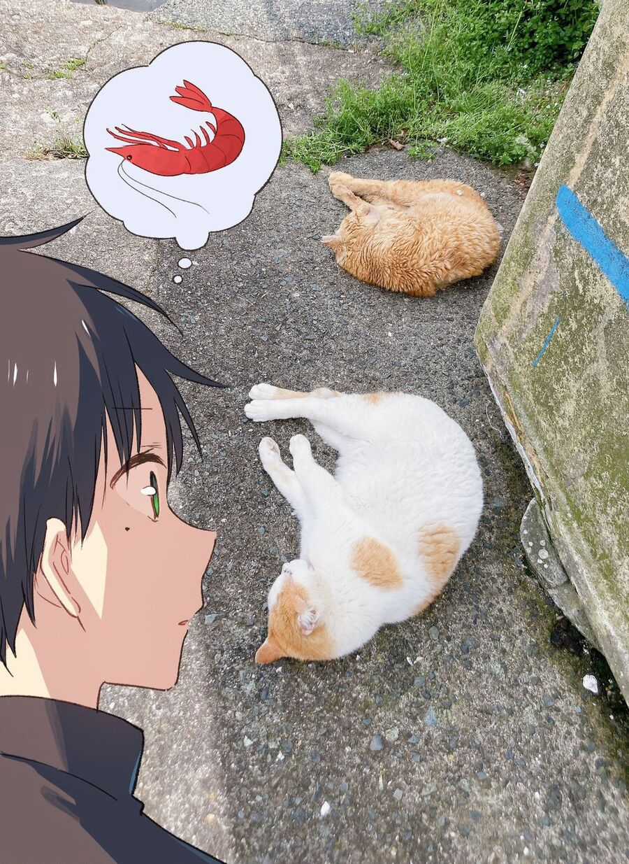 Cô Nàng Mèo Ngủ Gật Và Chàng Trai Hướng Nội Chapter 16 trang 33