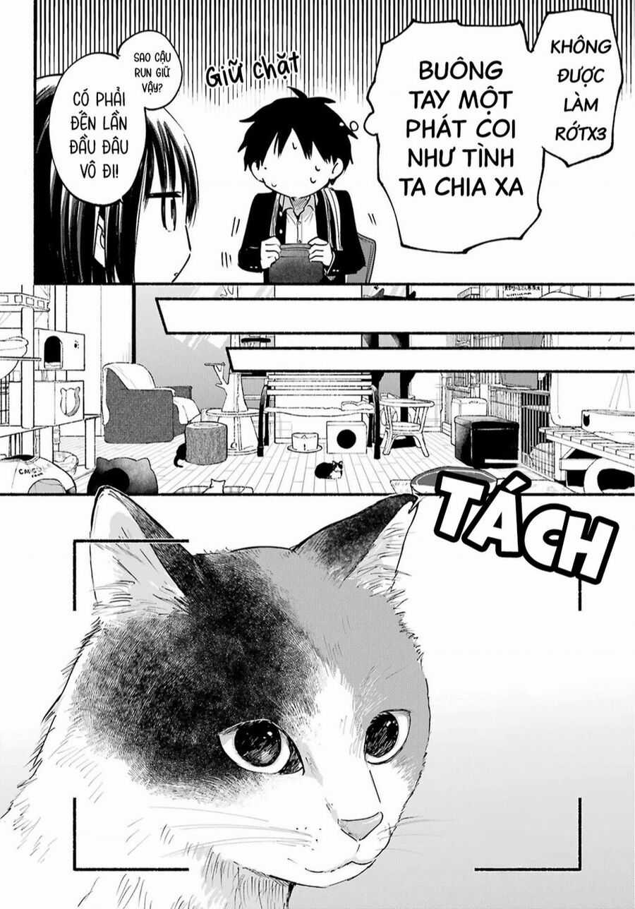 Cô Nàng Mèo Ngủ Gật Và Chàng Trai Hướng Nội Chapter 18 trang 9