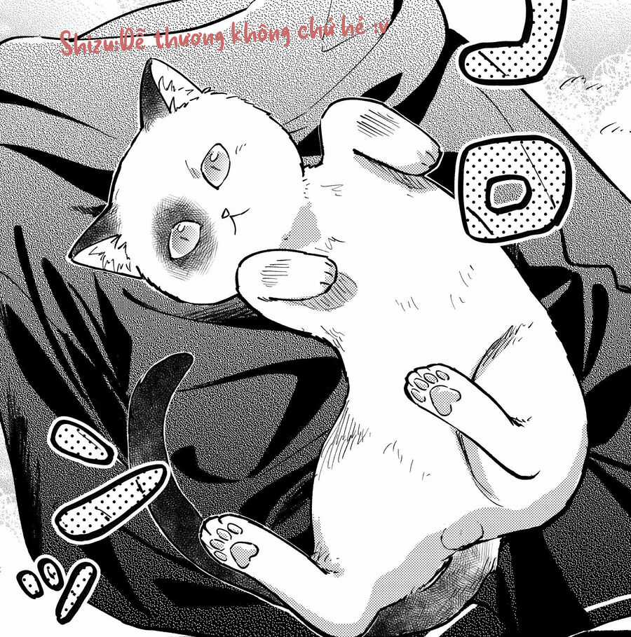 Cô Nàng Mèo Ngủ Gật Và Chàng Trai Hướng Nội Chapter 8 trang 15