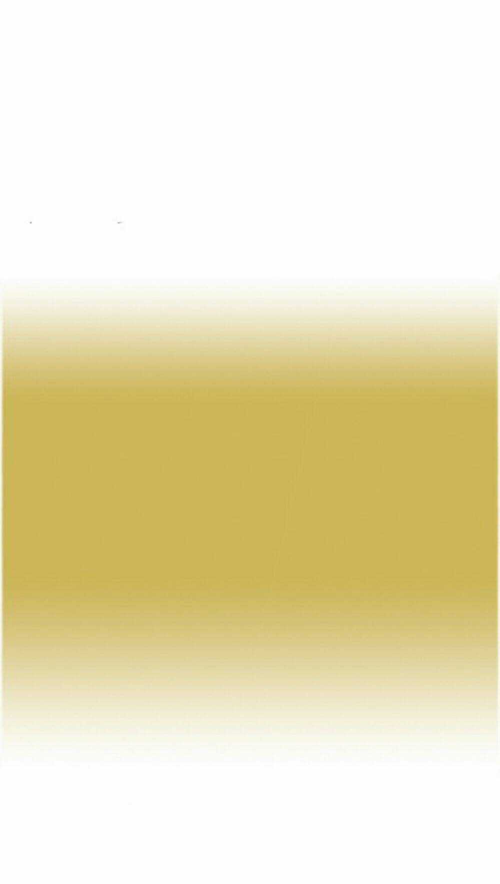 Cô Nàng Trên Lớp - The Girl From Class Chapter 17 trang 10