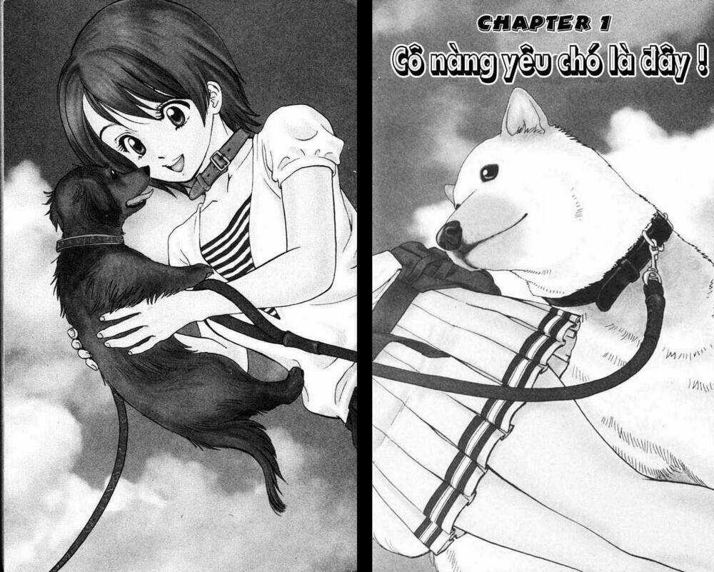 Cô Nàng Yêu Chó Chapter 1 trang 2