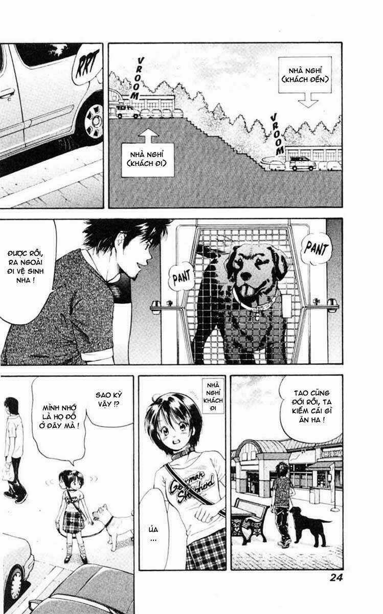 Cô Nàng Yêu Chó Chapter 1 trang 21