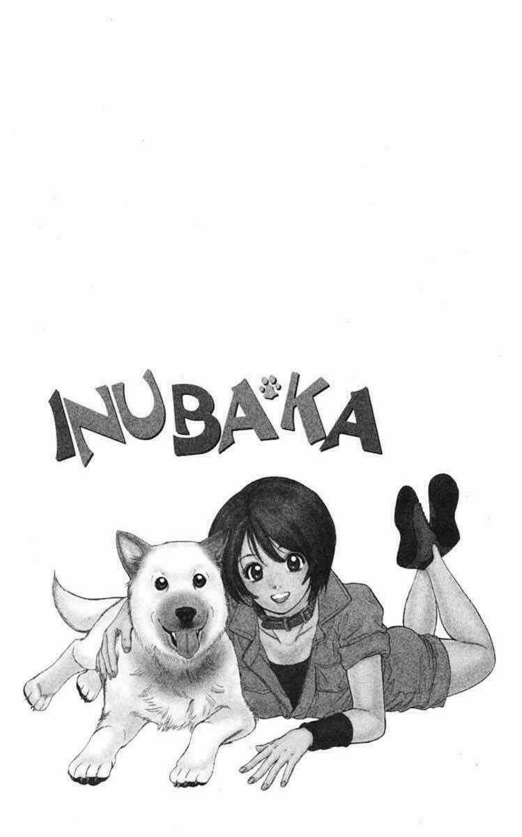 Cô Nàng Yêu Chó Chapter 1 trang 3