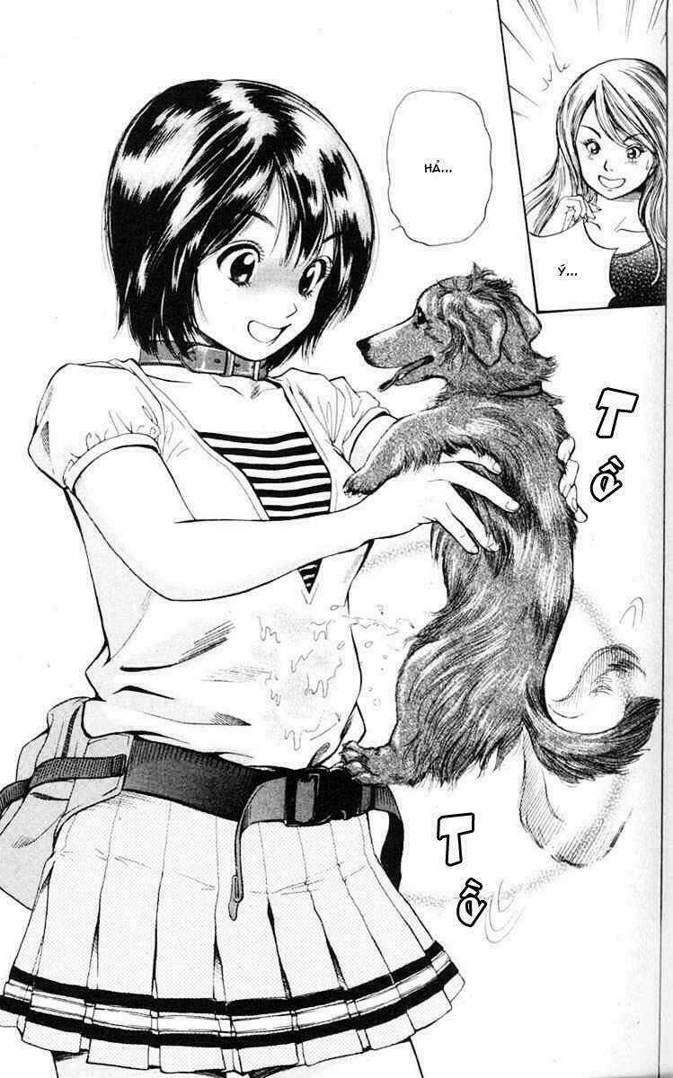 Cô Nàng Yêu Chó Chapter 1 trang 4