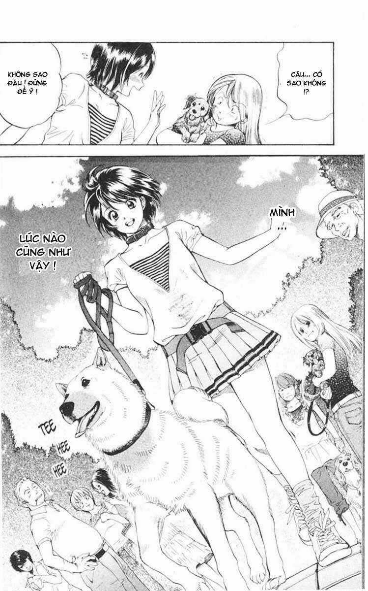 Cô Nàng Yêu Chó Chapter 1 trang 5