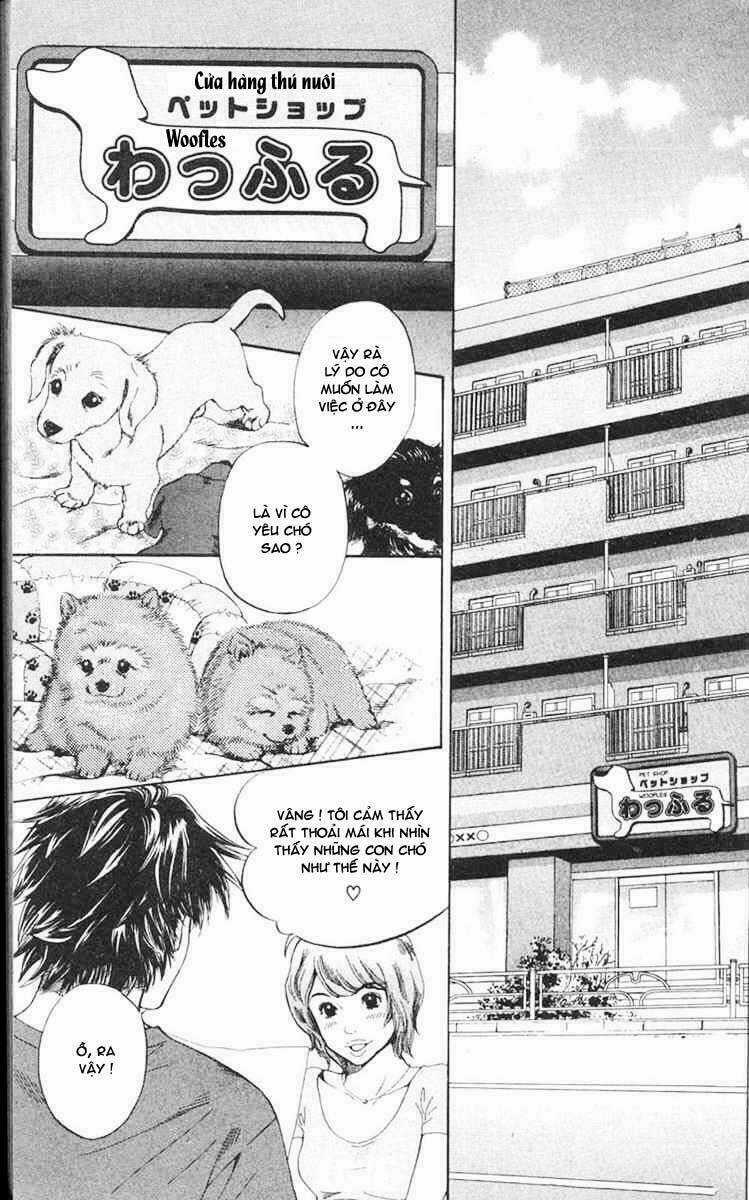 Cô Nàng Yêu Chó Chapter 1 trang 6