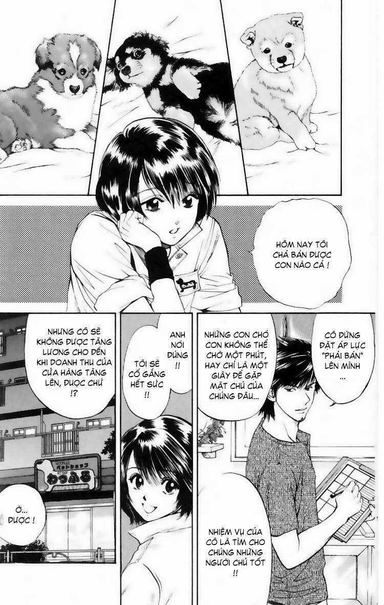 Cô Nàng Yêu Chó Chapter 10 trang 5