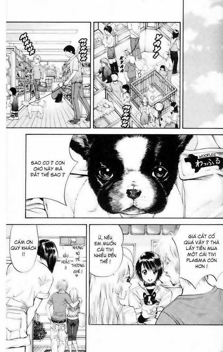 Cô Nàng Yêu Chó Chapter 10 trang 8