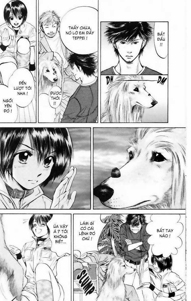 Cô Nàng Yêu Chó Chapter 11 trang 12