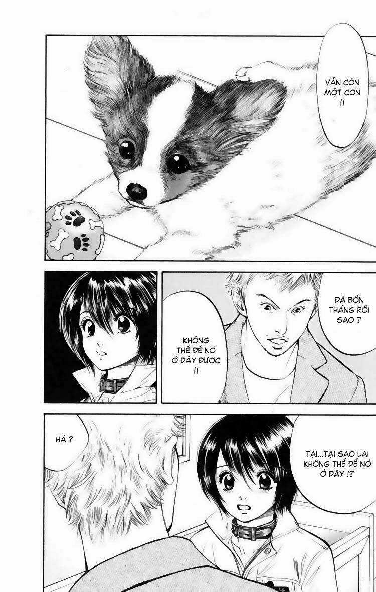 Cô Nàng Yêu Chó Chapter 11 trang 15