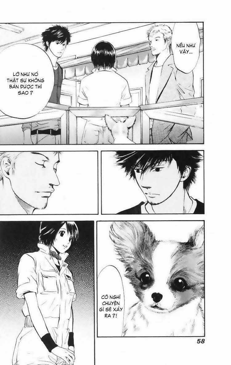 Cô Nàng Yêu Chó Chapter 11 trang 18