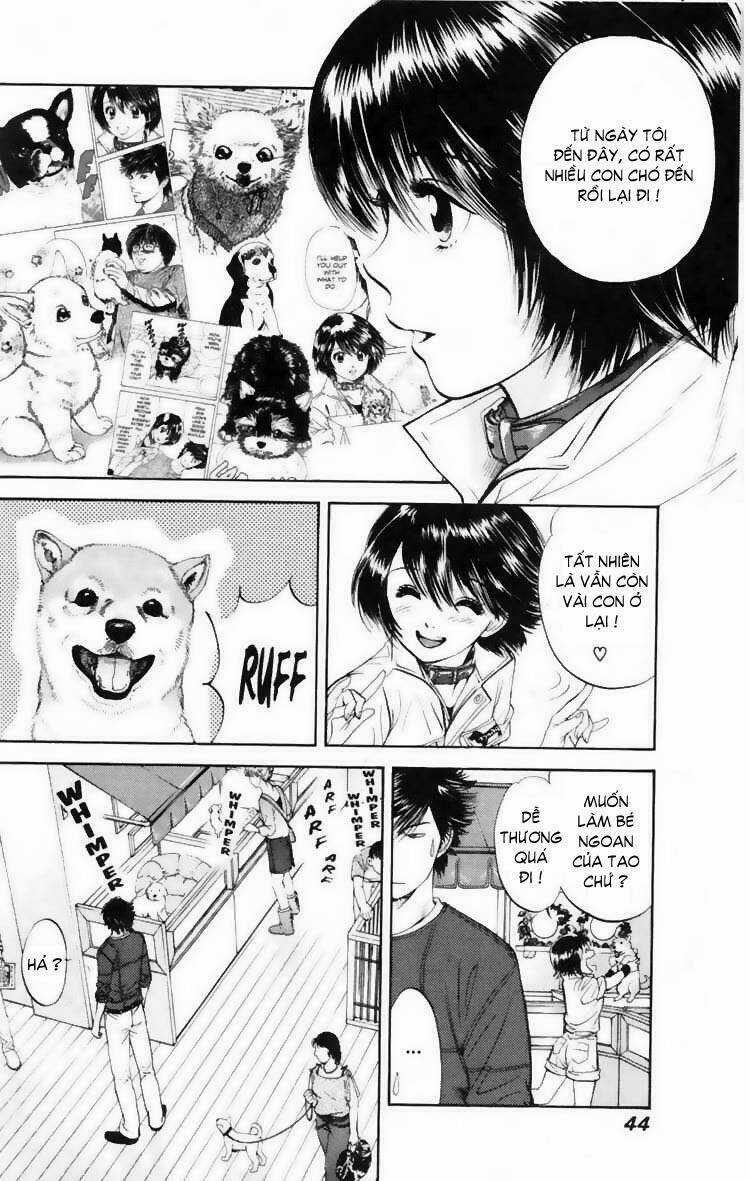 Cô Nàng Yêu Chó Chapter 11 trang 4