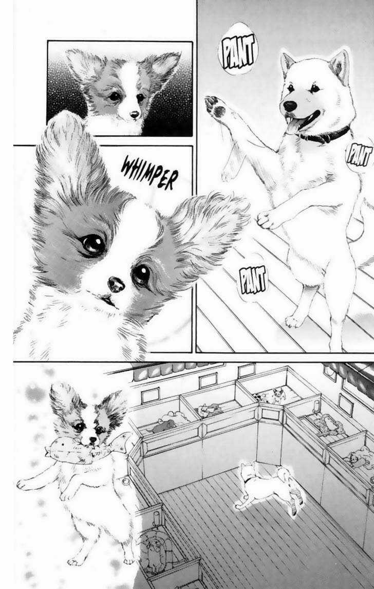 Cô Nàng Yêu Chó Chapter 12 trang 10