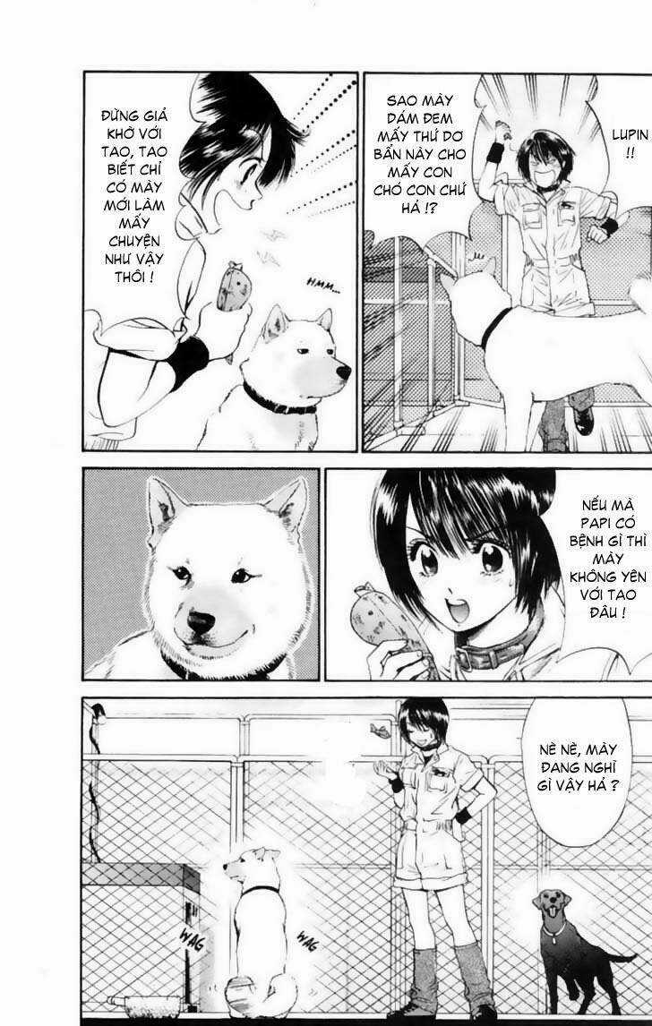 Cô Nàng Yêu Chó Chapter 12 trang 12