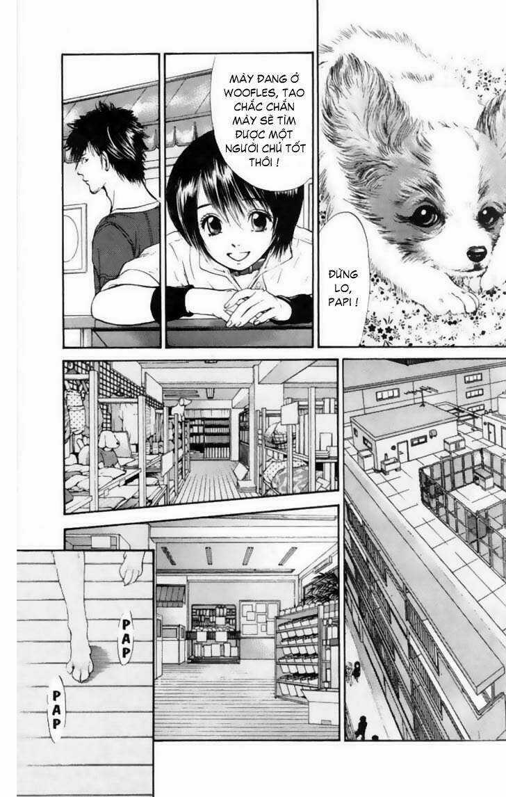 Cô Nàng Yêu Chó Chapter 12 trang 8