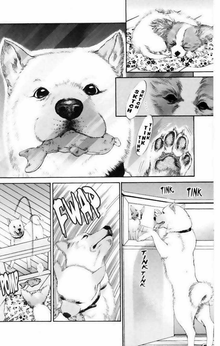 Cô Nàng Yêu Chó Chapter 12 trang 9