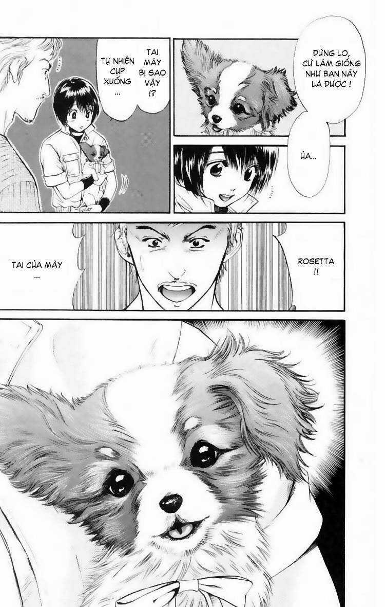 Cô Nàng Yêu Chó Chapter 13 trang 11