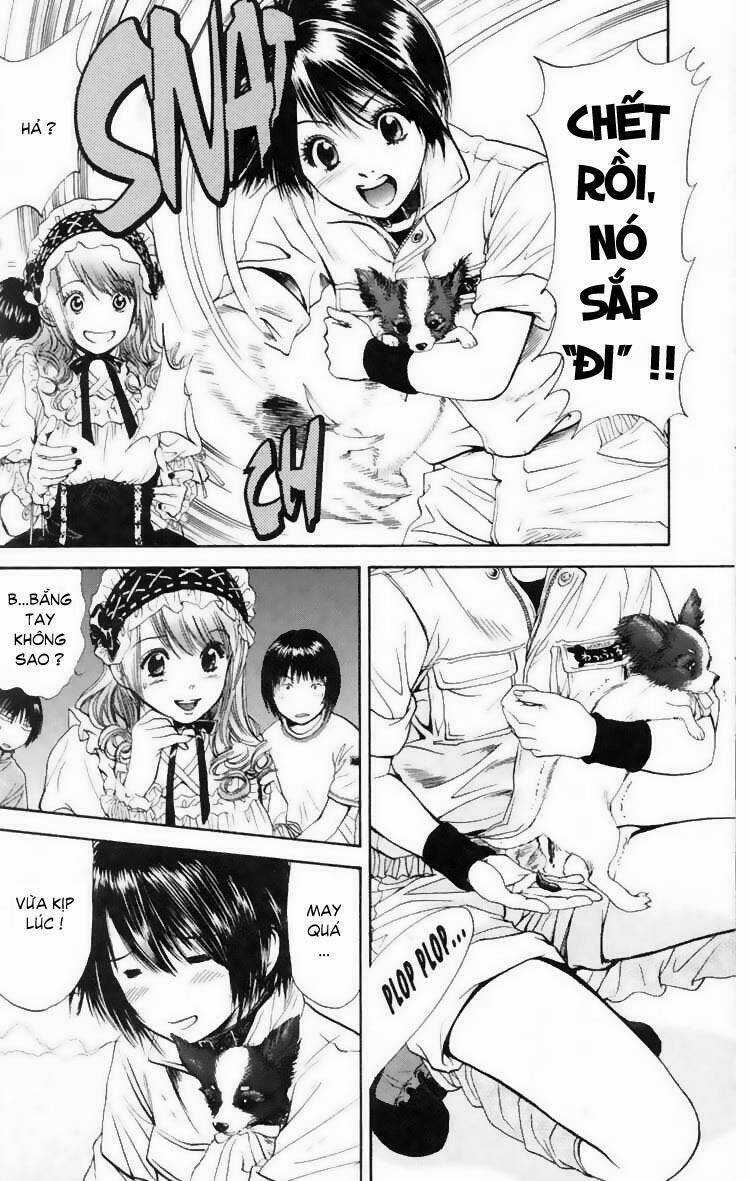 Cô Nàng Yêu Chó Chapter 13 trang 9