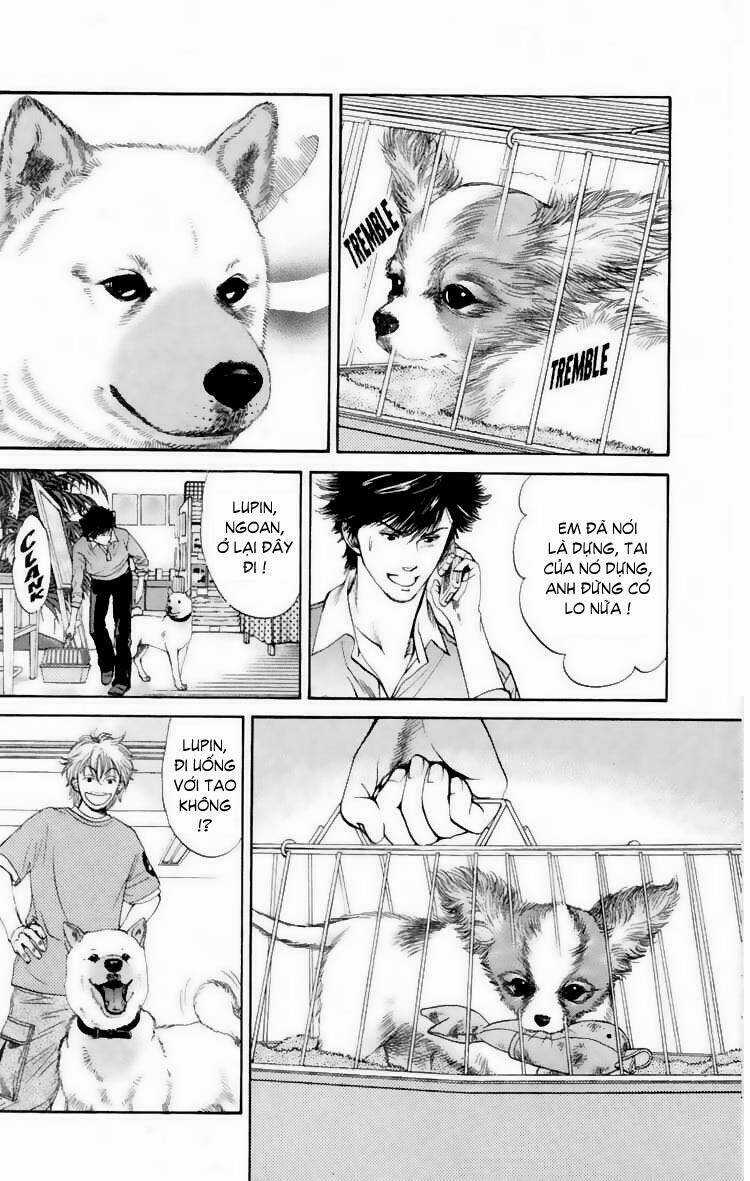 Cô Nàng Yêu Chó Chapter 14 trang 3