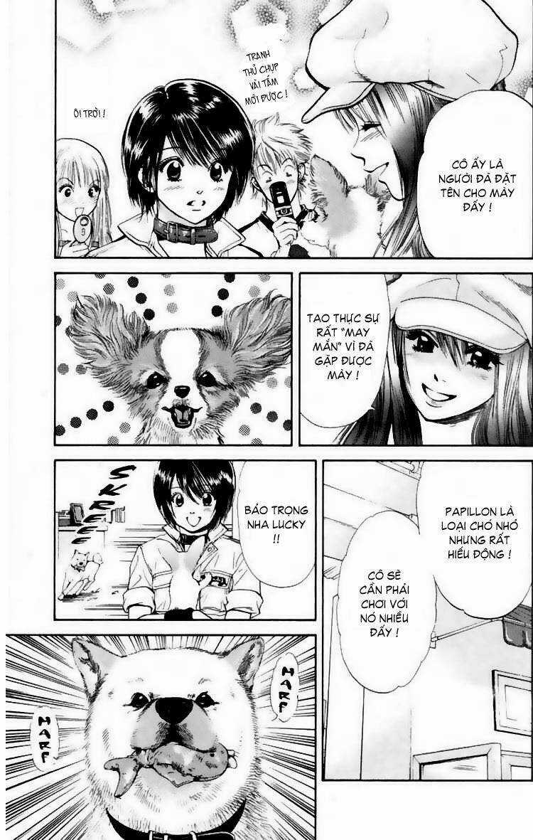 Cô Nàng Yêu Chó Chapter 16 trang 14