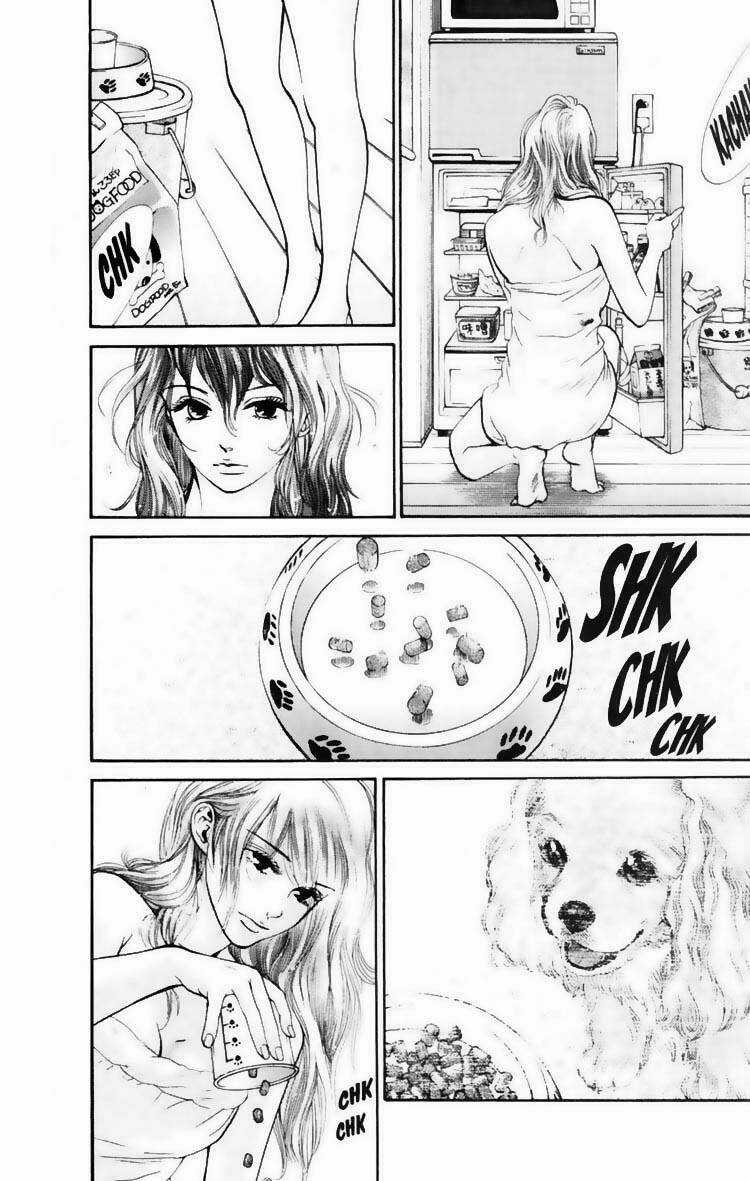 Cô Nàng Yêu Chó Chapter 16 trang 4