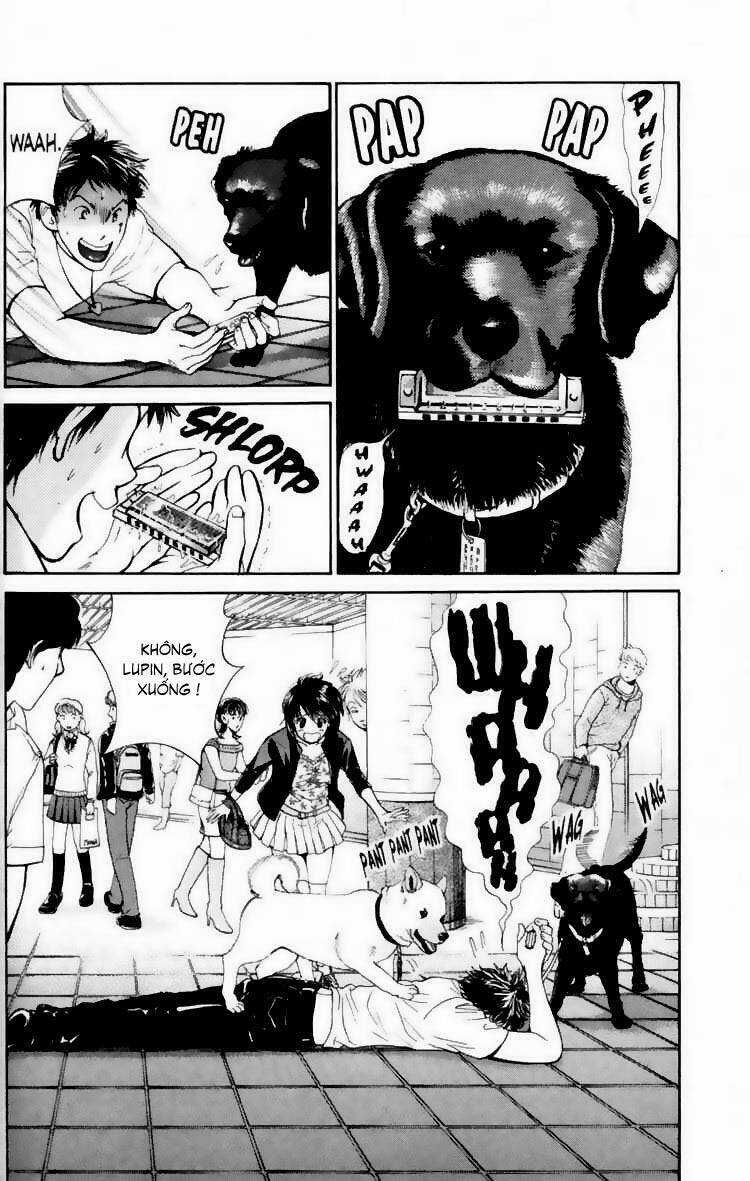 Cô Nàng Yêu Chó Chapter 17 trang 11